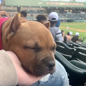 Meet your Posher, Erik